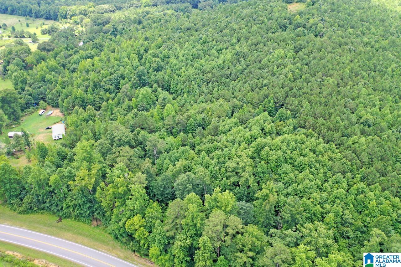 0 US Highway 278 Altoona, AL 35952 - Photo 2 of 14
