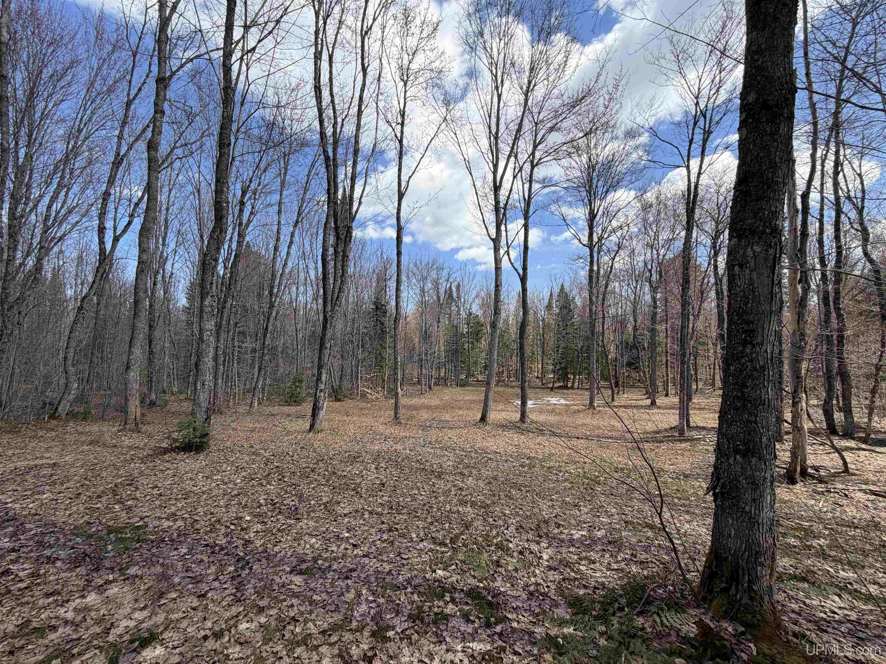 11445 Chesbrough Lake Road Newberry, MI 49868 - Photo 37 of 75