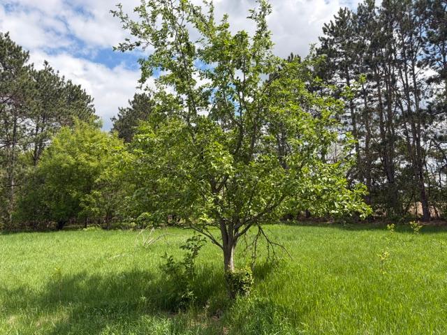 2059 Highway 70 Mora, MN 55051 - Photo 10 of 10