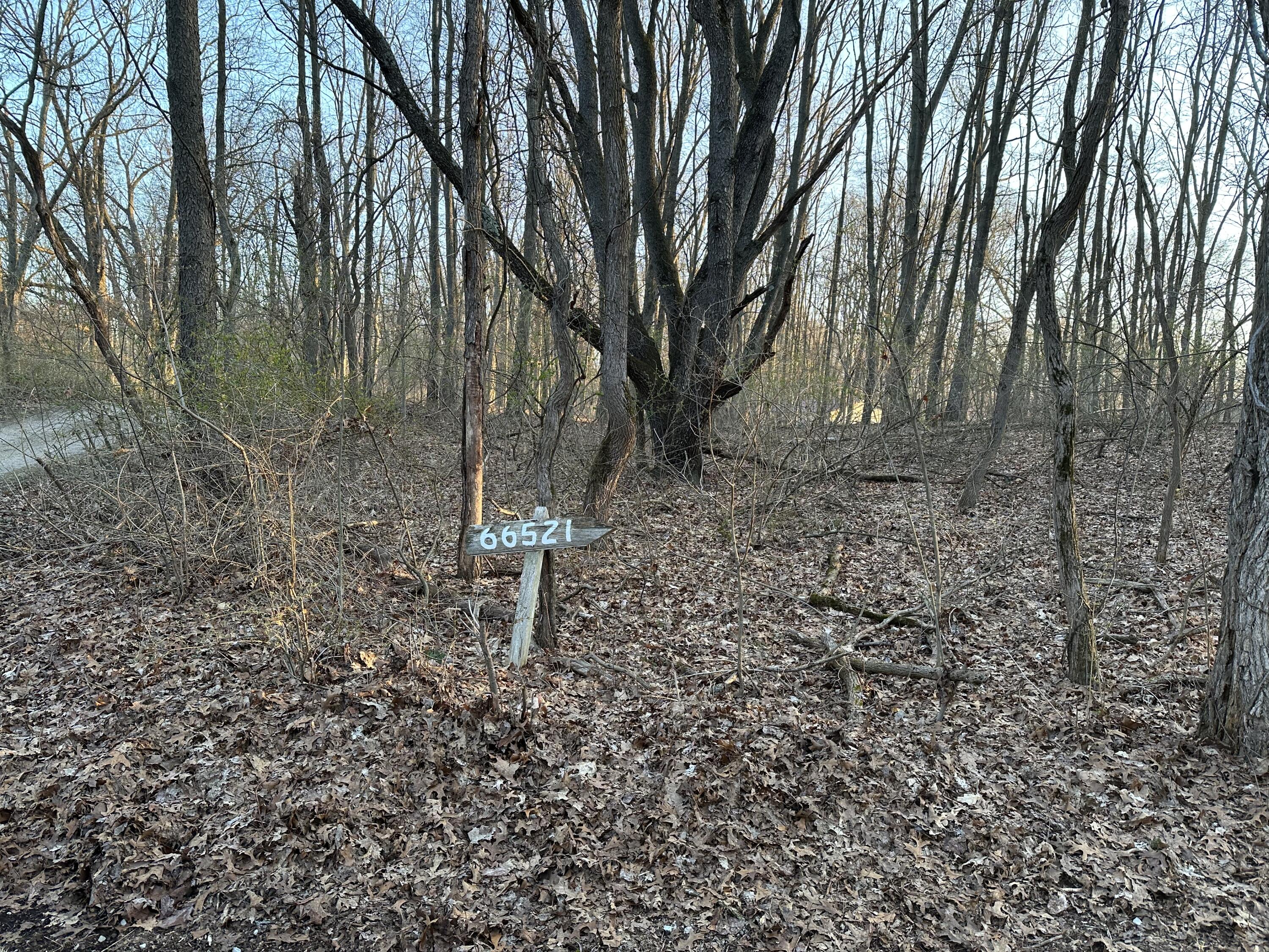 66521 Conrad Road Edwardsburg, MI 49112 - Photo 47 of 58 IMG_1395