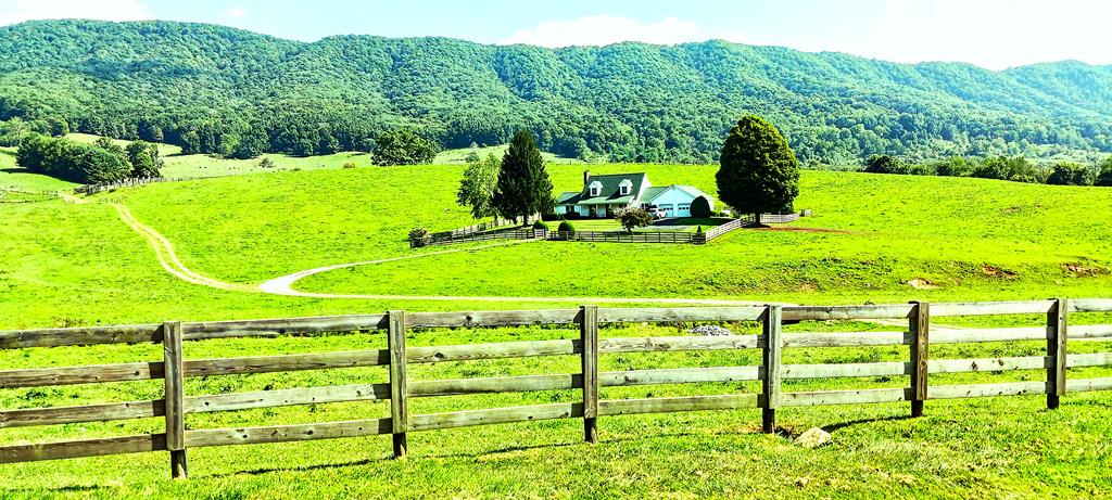 446 Beartown Road Tazewell, VA 24651 - Photo 3 of 25 Gallery Image 3