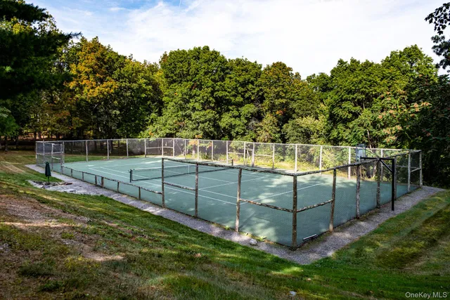 a view of a yard with a tree