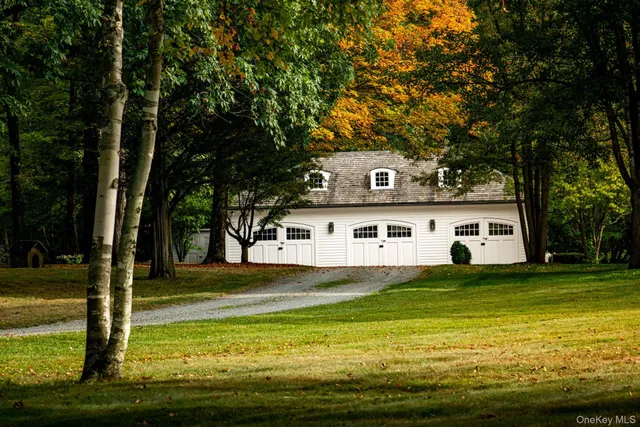 a view of a trees in a yard