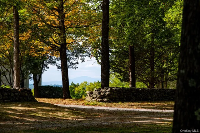 a view of an aerial view of residential houses with outdoor space and trees