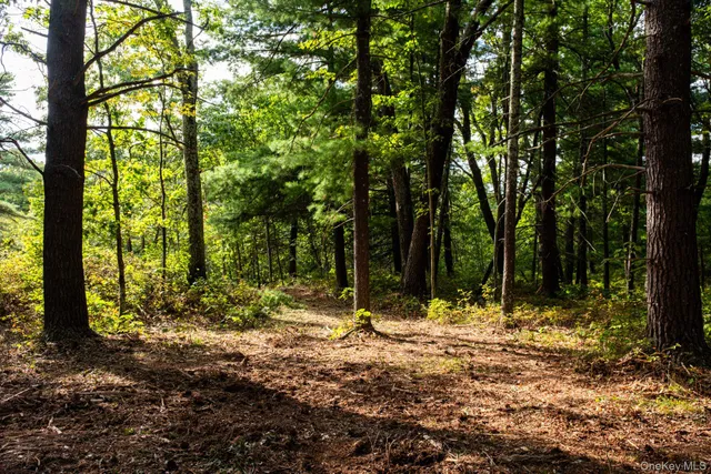 a swimming pool with trees in the background