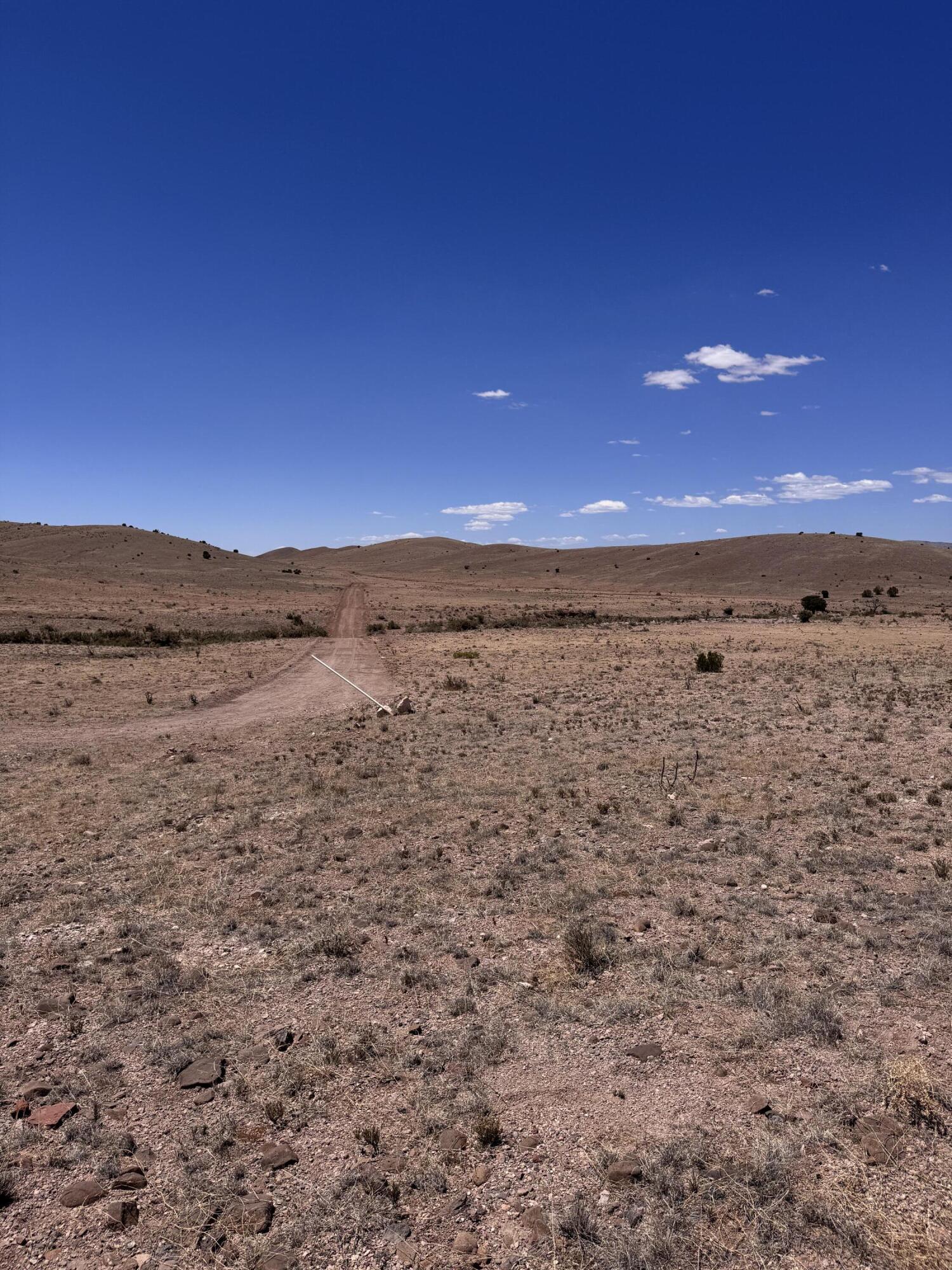 663 Willow Springs Ranch Road Socorro, NM 87801 - Photo 26 of 26 Gallery Image 26