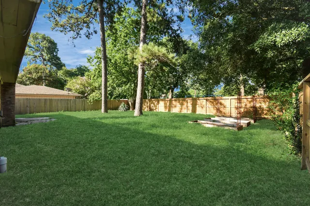 a view of a park with a tree