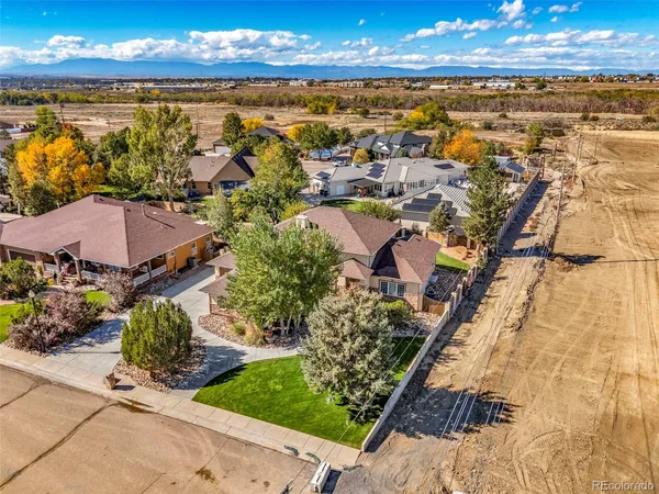 a view of a backyard with potted plants