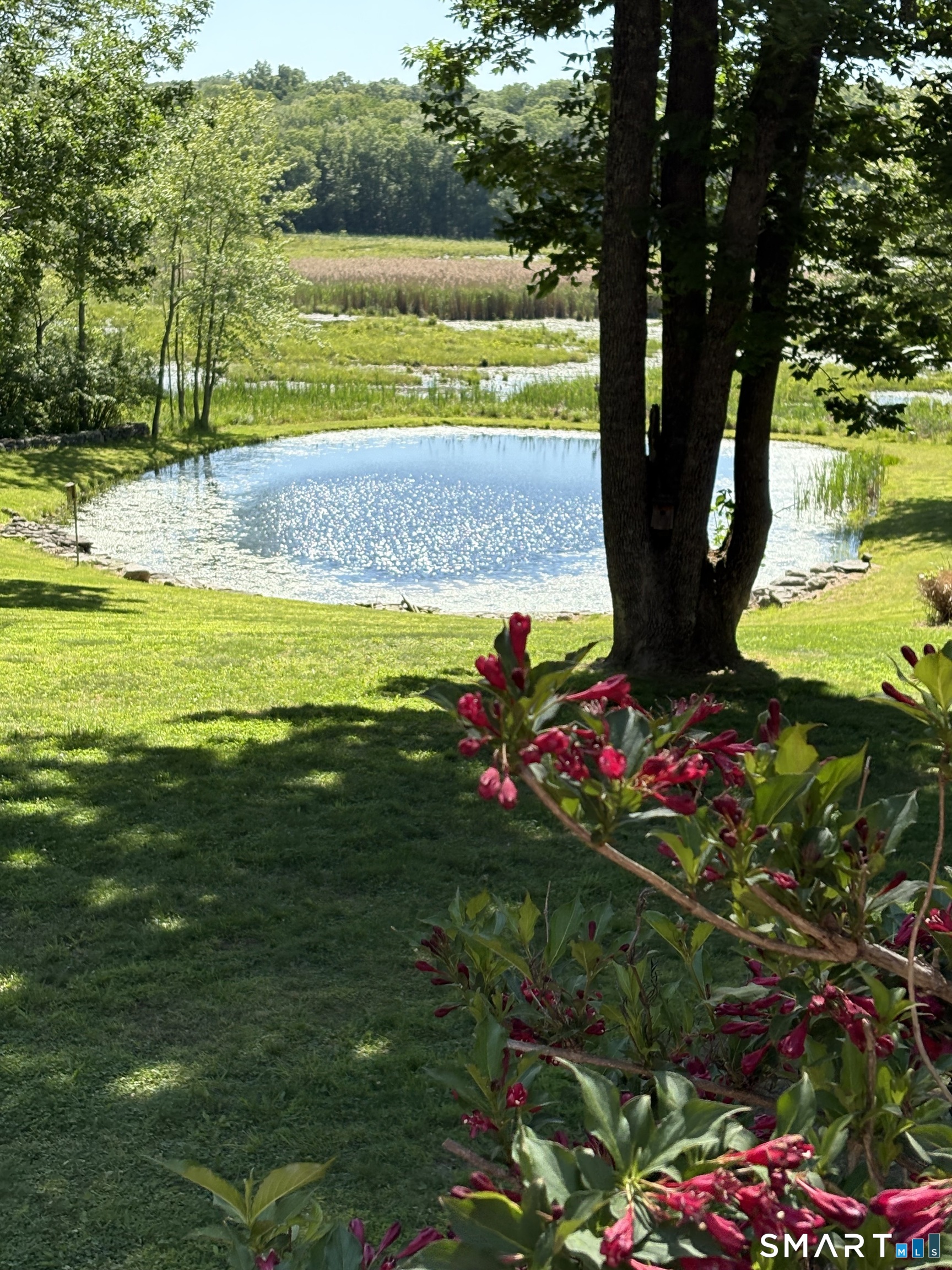 102 Drown Road Pomfret, CT 06259 - Photo 14 of 16 I never get tired of this view.