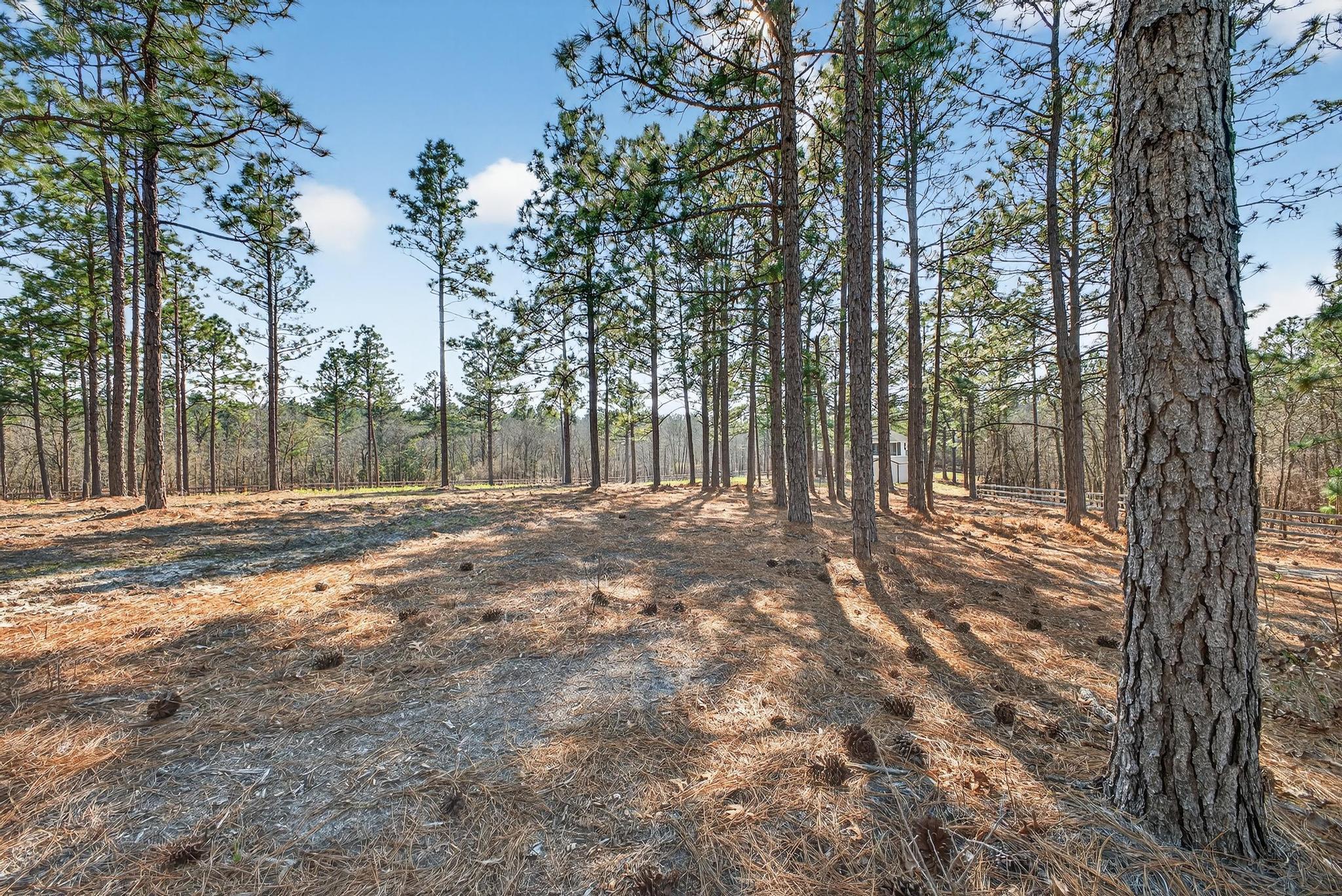 316 Cadle Crossing Road Windsor, SC 29856 - Photo 3 of 30