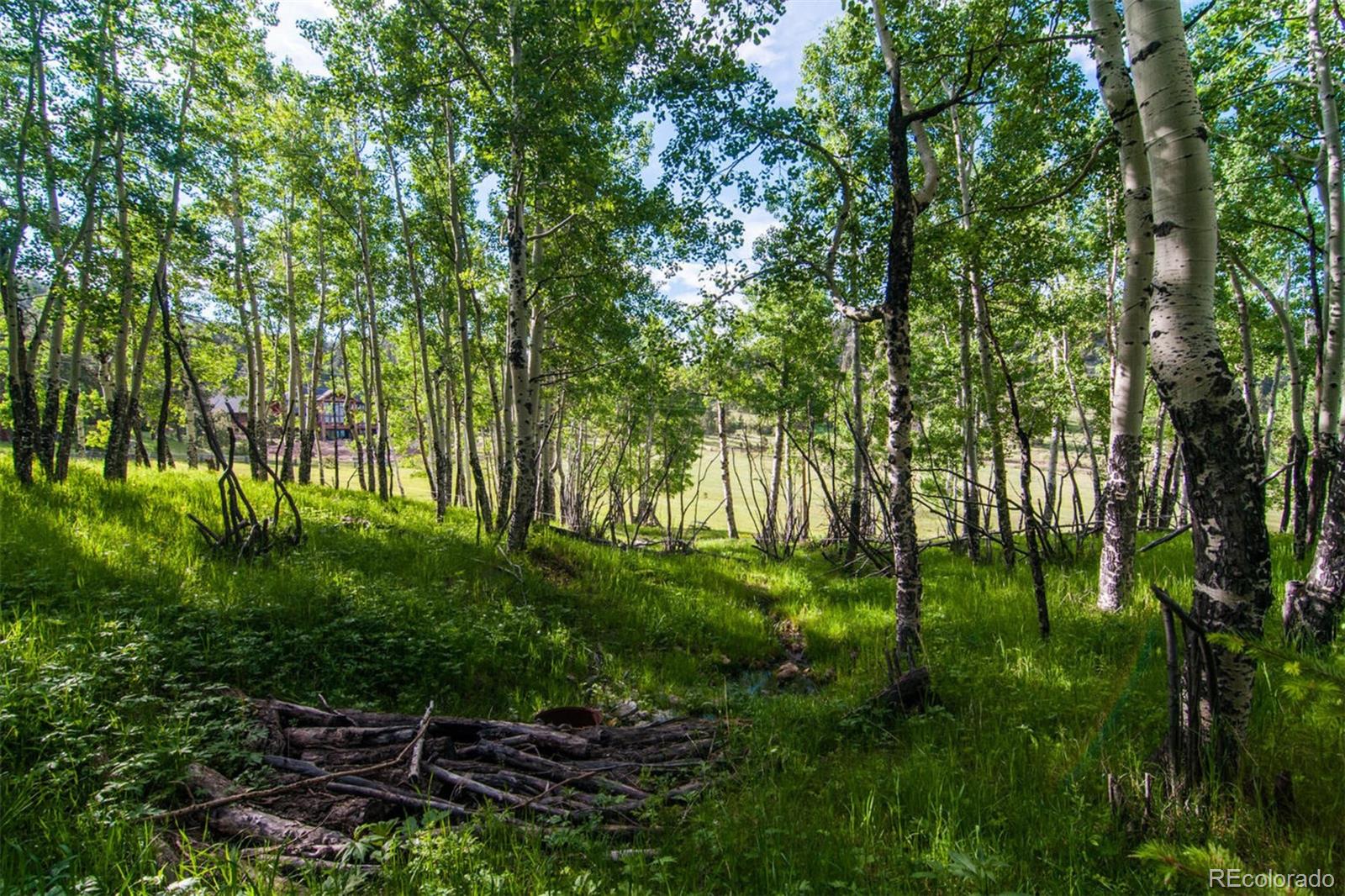 590 West Meadow Road Evergreen, CO 80439 - Photo 38 of 40 a backyard of a house with lots of green space and garden