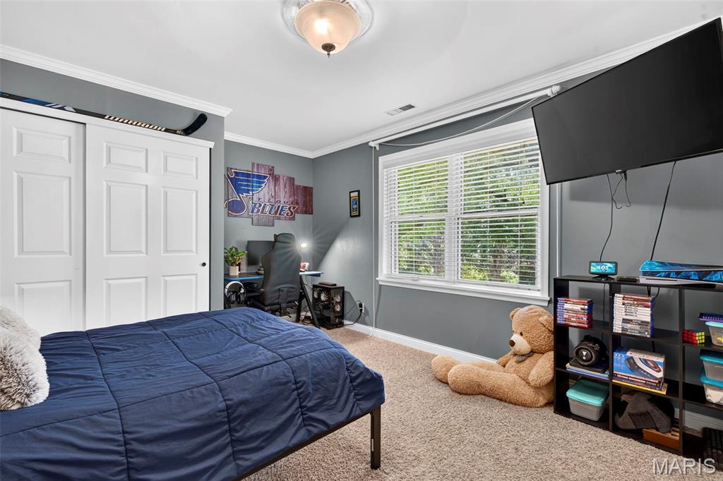 2710 Wild Valley Drive High Ridge, MO 63049 - Photo 51 of 79