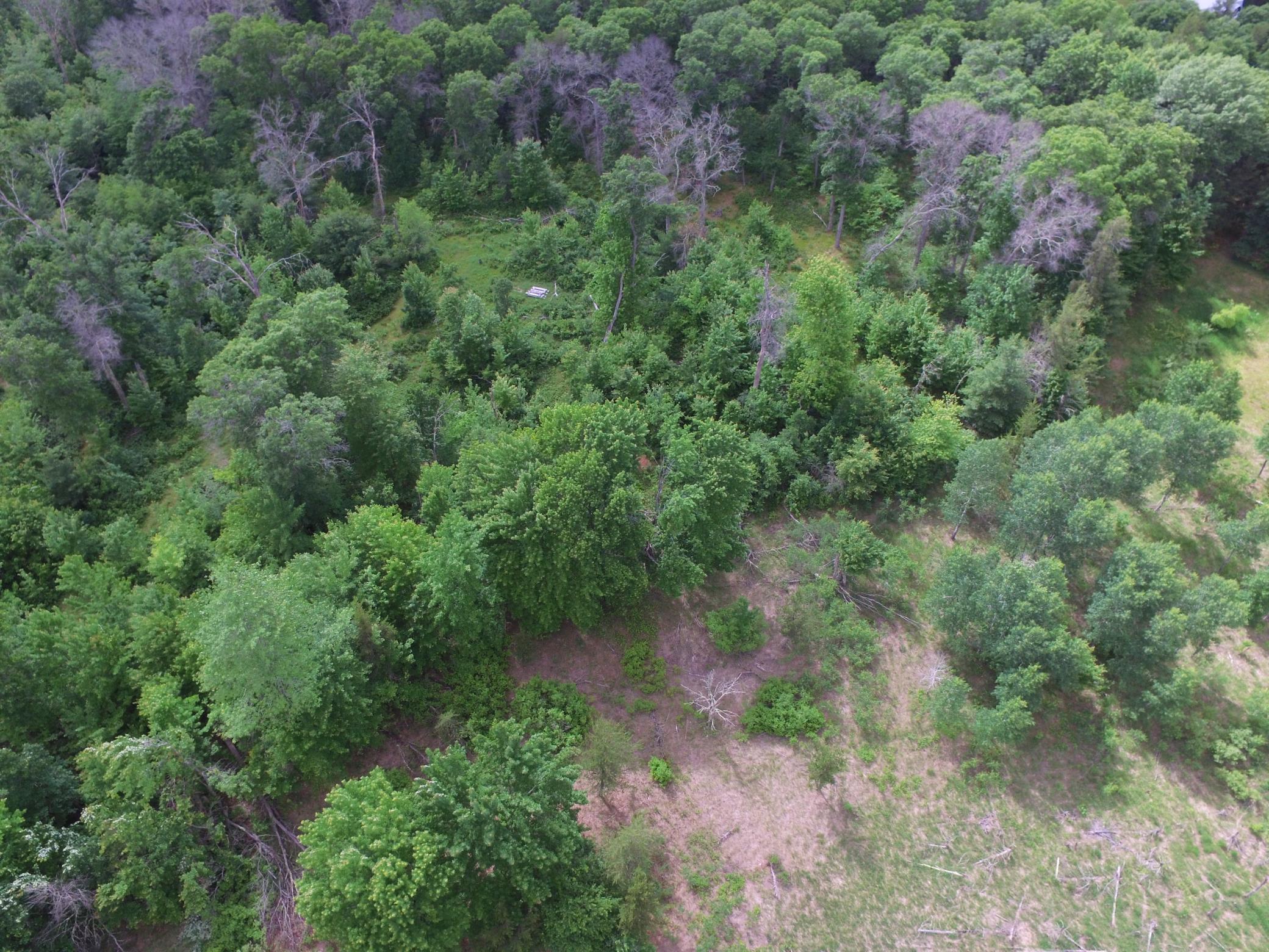 25385 Spaulding Road Grantsburg, WI 54840 - Photo 9 of 12