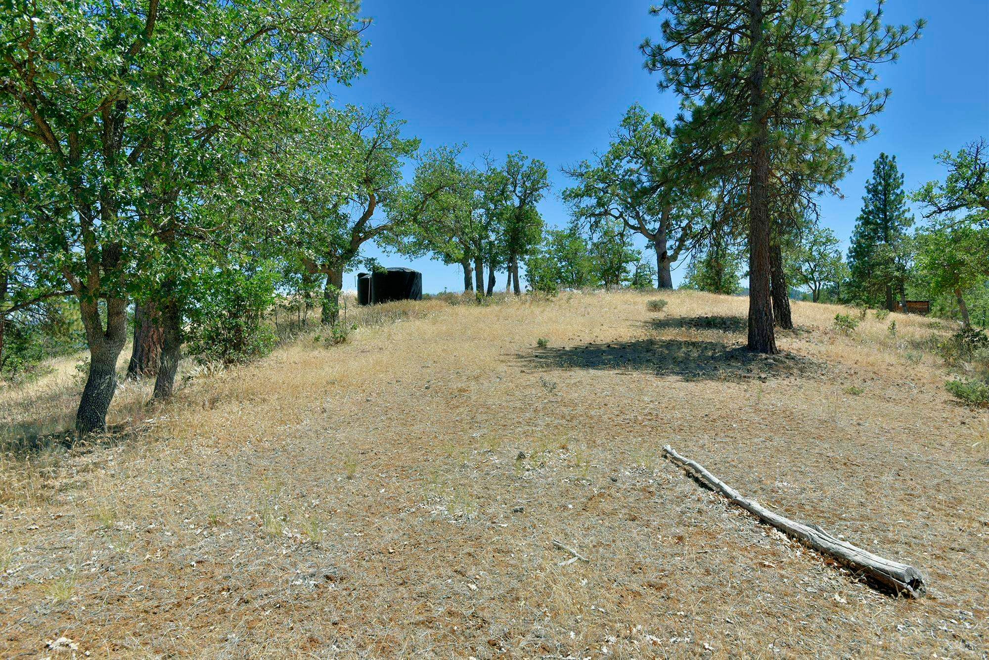 5524 Scott River Road Fort Jones, CA 96032 - Photo 26 of 50 Gallery Image 26