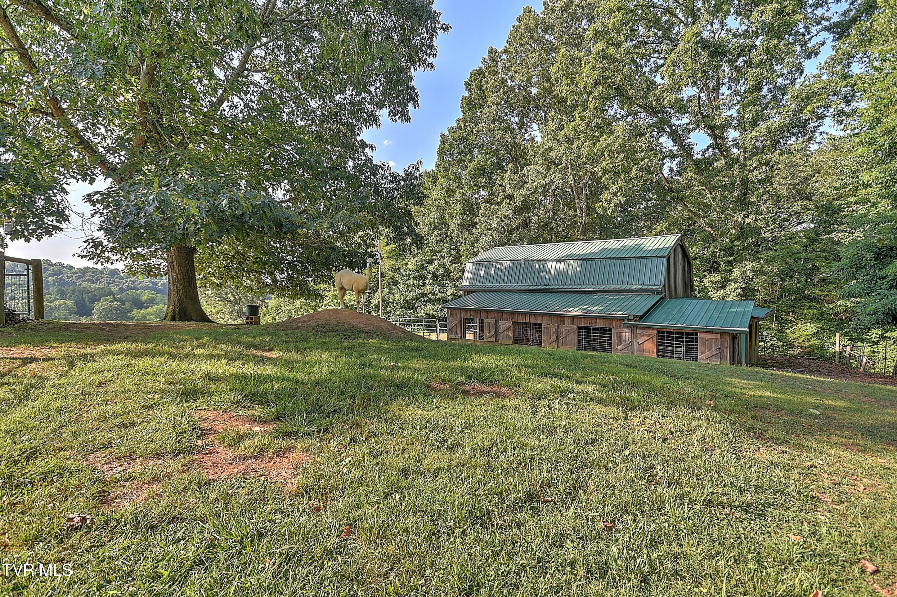 133 Hartmantown Road Jonesborough, TN 37659 - Photo 49 of 81 133 Hartmantown Rd SE-52