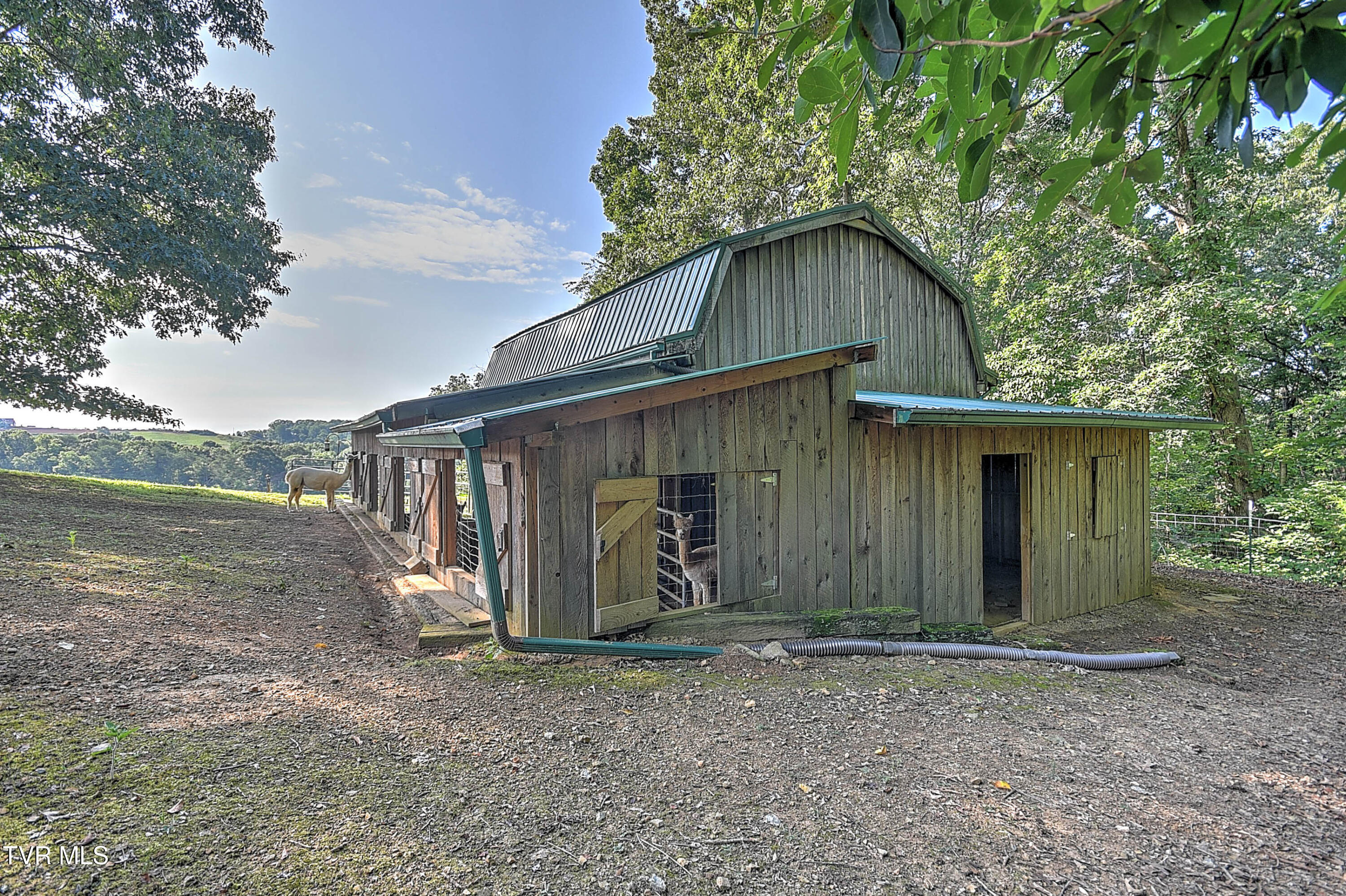 133 Hartmantown Road Jonesborough, TN 37659 - Photo 53 of 81 133 Hartmantown Rd SE-54