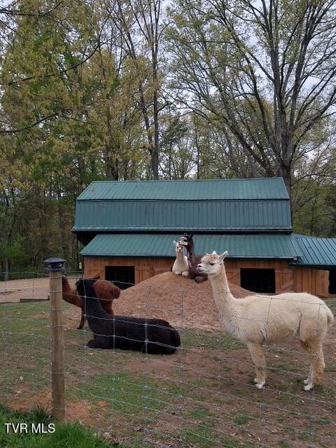 133 Hartmantown Road Jonesborough, TN 37659 - Photo 55 of 81 IMG_0381