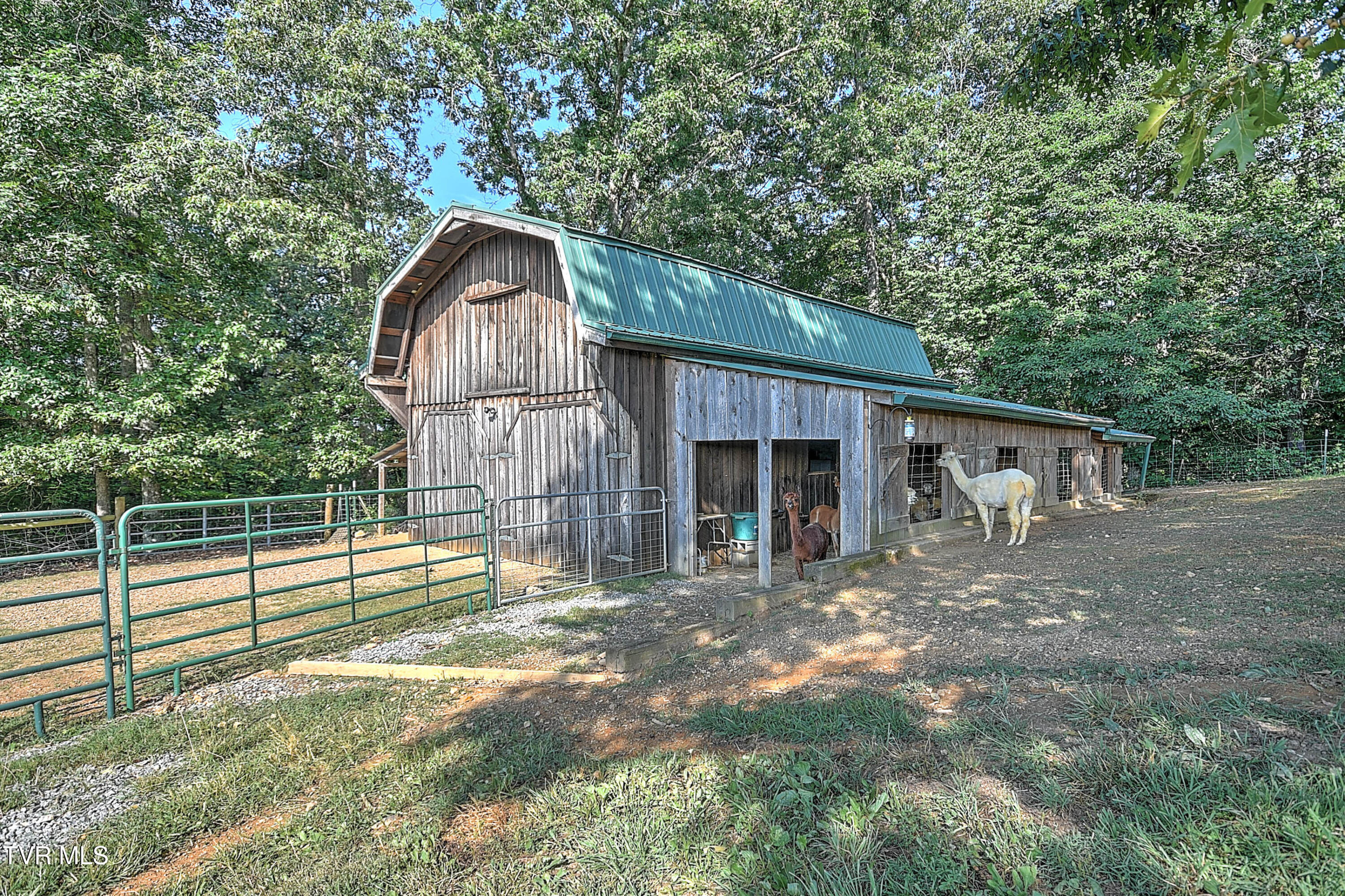 133 Hartmantown Road Jonesborough, TN 37659 - Photo 57 of 81 133 Hartmantown Rd SE-58