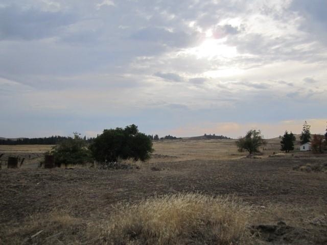 19626 West Sterling Road Cheney, WA 99004 - Photo 3 of 9