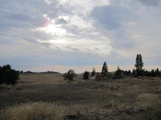 19626 West Sterling Road Cheney, WA 99004 - Photo 4 of 9