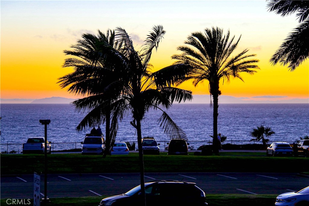 34028 Selva Road, Unit 77 Dana Point, CA 92629 - Photo 36 of 62 an ocean view with palm trees