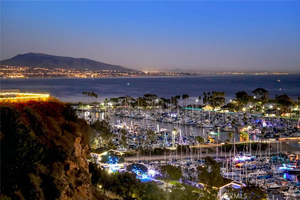 34028 Selva Road, Unit 77 Dana Point, CA 92629 - Photo 52 of 62 a view of a city