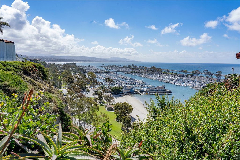 34028 Selva Road, Unit 77 Dana Point, CA 92629 - Photo 54 of 62 a view of a lake