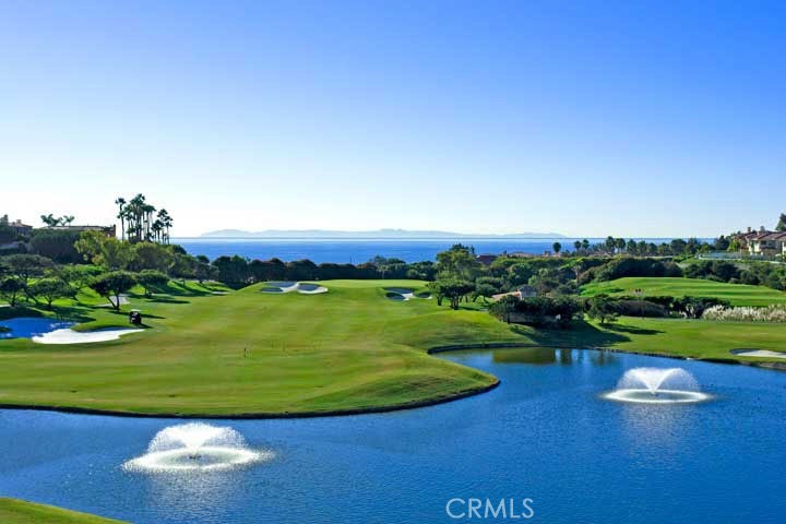 34028 Selva Road, Unit 77 Dana Point, CA 92629 - Photo 58 of 62 5 Star Resorts & Golf Courses nearby