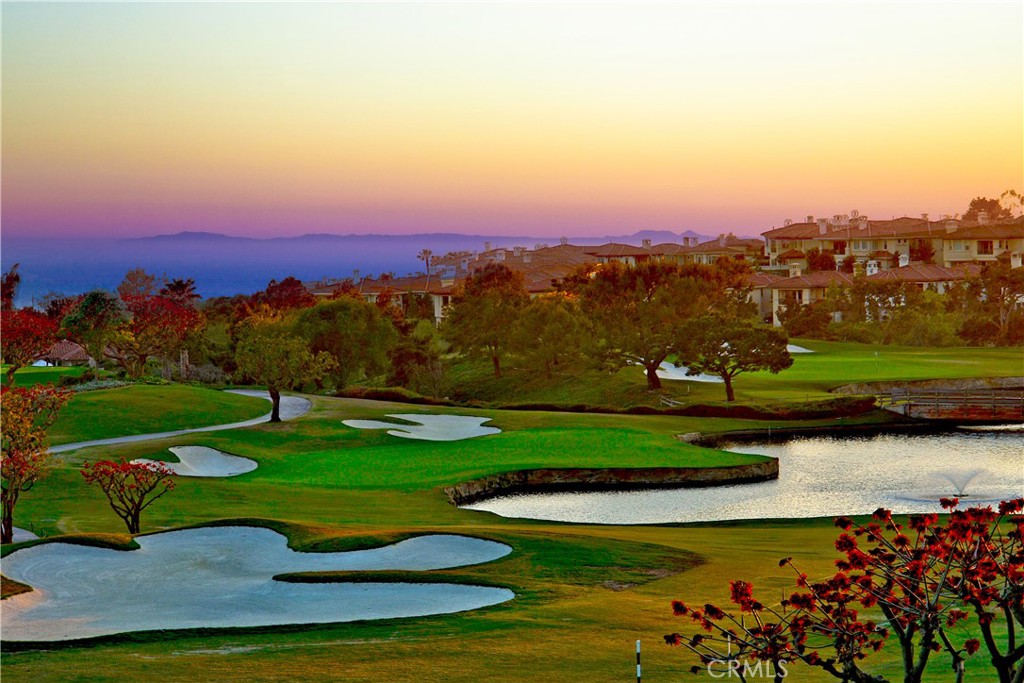 34028 Selva Road, Unit 77 Dana Point, CA 92629 - Photo 59 of 62 an aerial view of a house with a yard