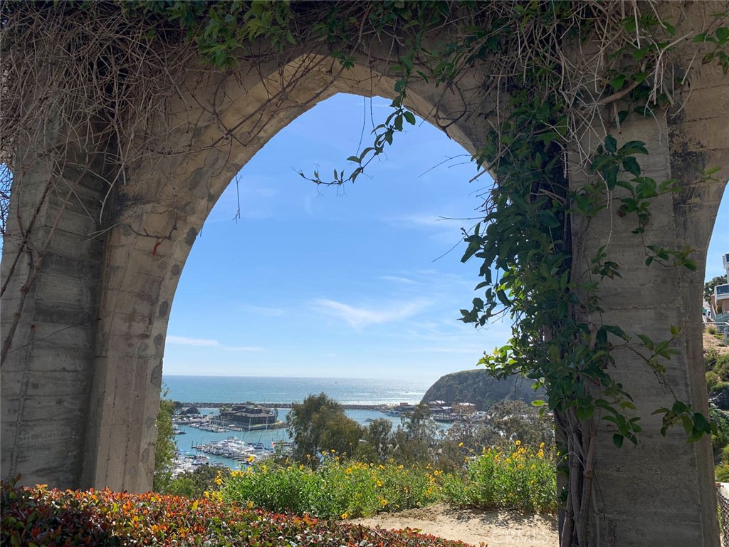 34028 Selva Road, Unit 77 Dana Point, CA 92629 - Photo 61 of 62 an aerial view of a house with a yard and trees all around