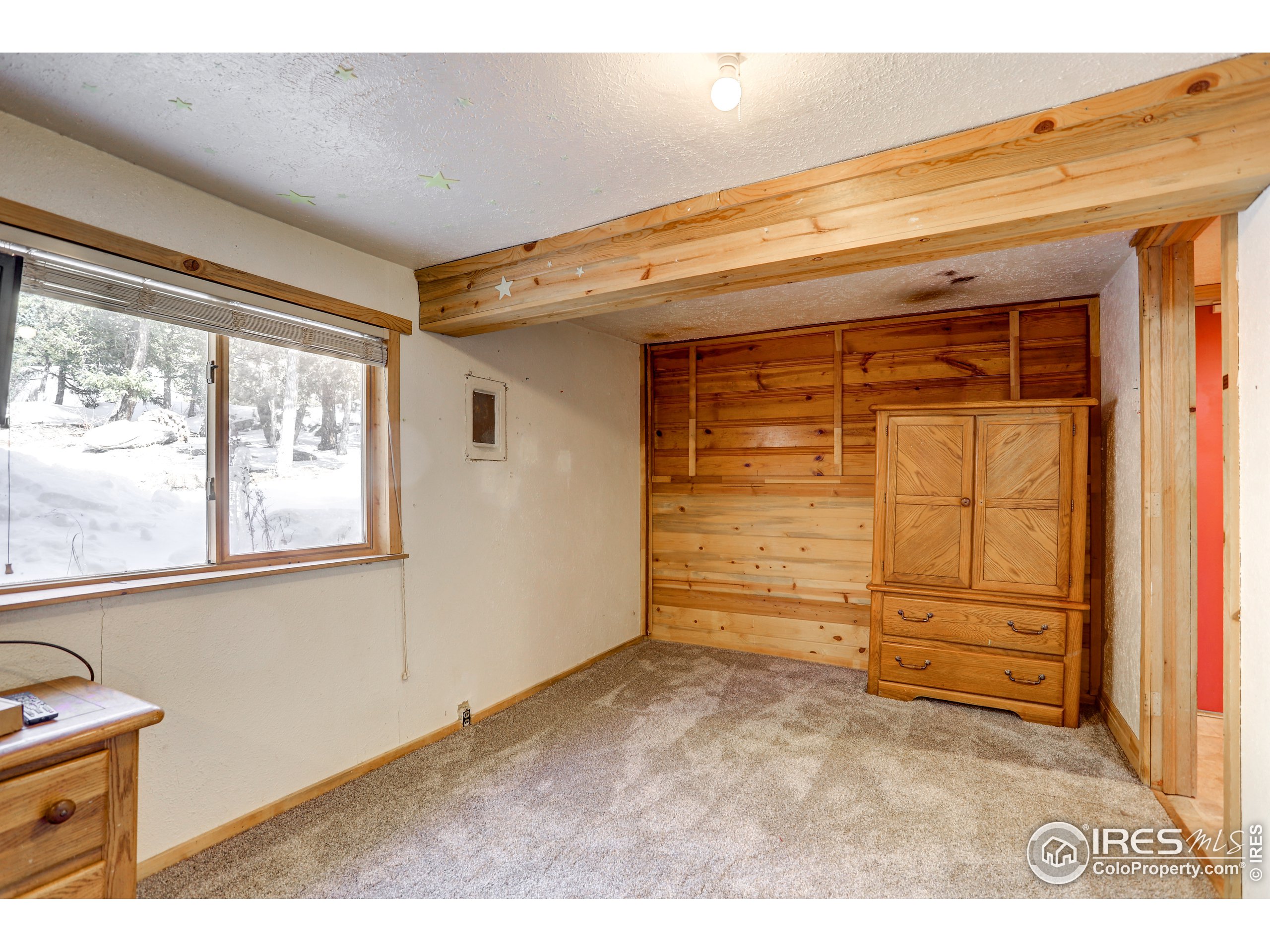 25874 Mosier Street Conifer, CO 80433 - Photo 11 of 36