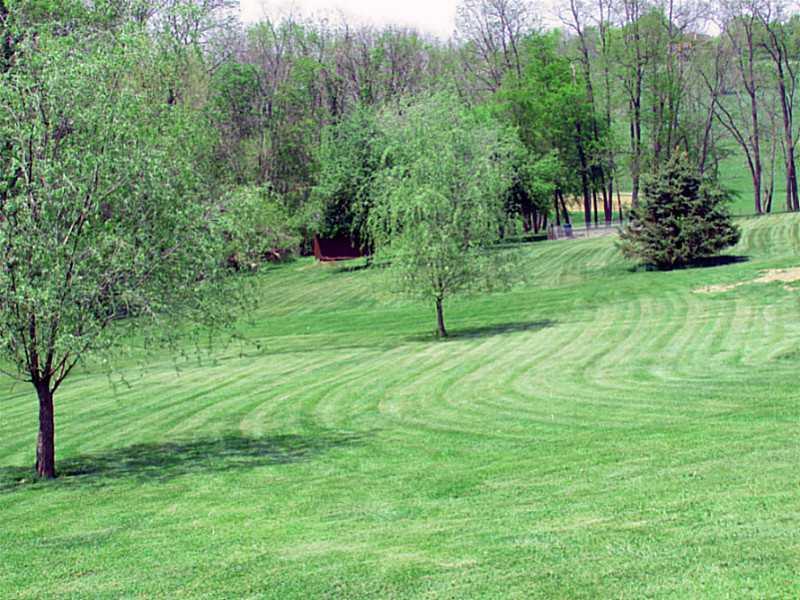 130 Craft Road Washington, PA 15301 - Photo 25 of 25 Yard/Garden. Just a small part of the 2 acres included with 130 Craft Road.