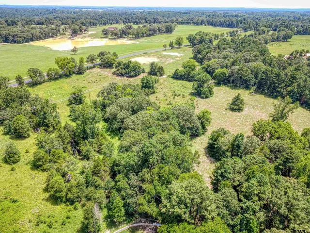 an aerial view of residential houses with outdoor space and river