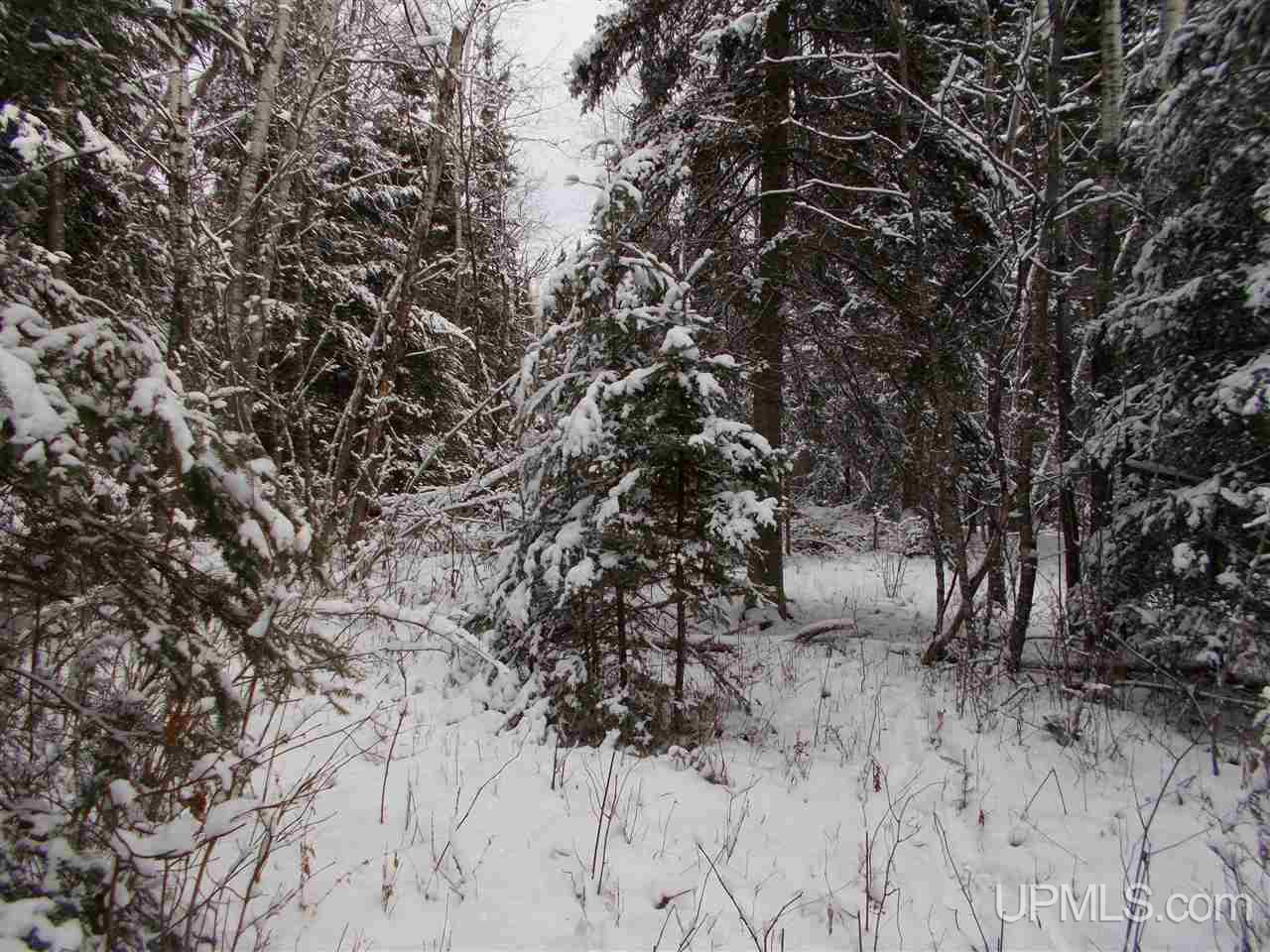 8367 Solberg Lake Road Felch, MI 49831 - Photo 5 of 5 Gallery Image 5
