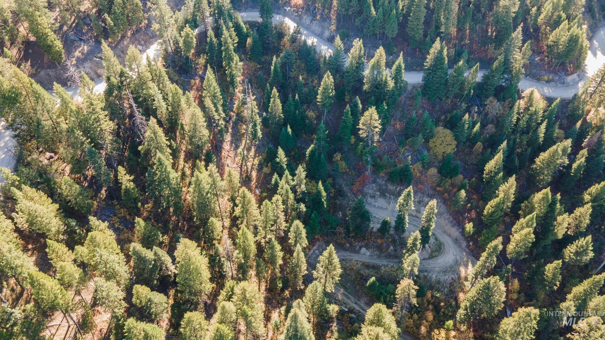 10 Crocus Court Cascade, ID 83611 - Photo 13 of 20