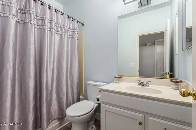 a bathroom with a sink a toilet and shower curtain