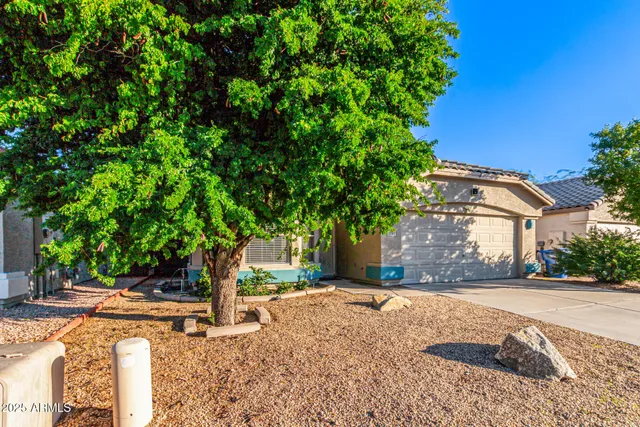 a view of road with plants and trees