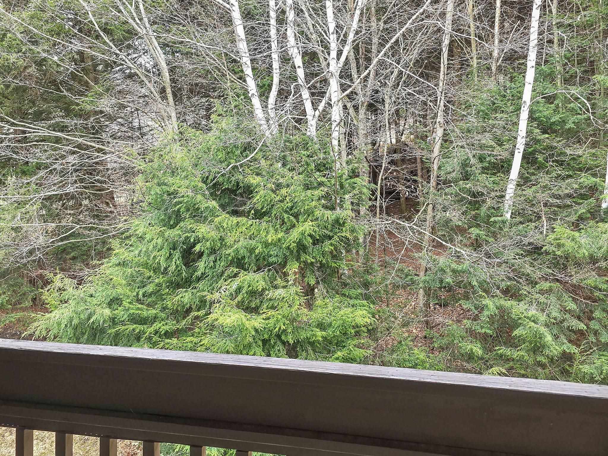 70 Mountains Edge Road, Unit 606 West Windsor, VT 05037 - Photo 16 of 26