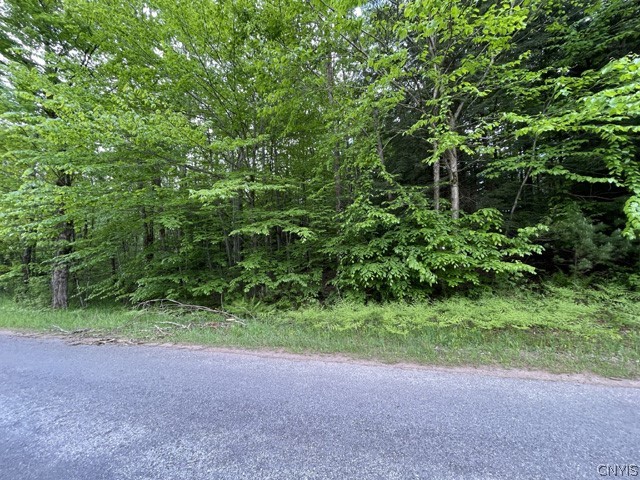 0 Swartz Road Camden, NY 13316 - Photo 1 of 1 Gallery Image 1