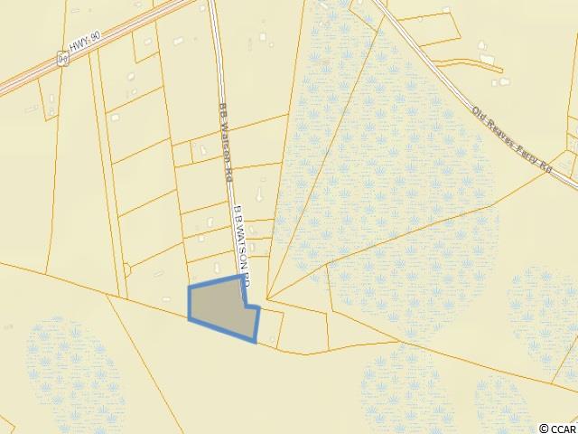 3.68-ac B B Watson Road Conway, SC 29526 - Photo 4 of 4 Gallery Image 4