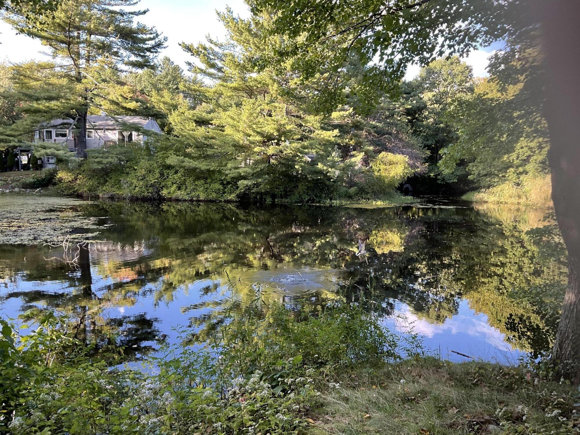 55 Flintlock Village Road, Unit 4 Wells, ME 04090 - Photo 8 of 29 92534385-22A4-4285-8884-96B9BAEBC374