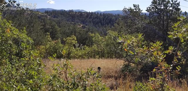 138 Pike View Road Florissant, CO 80816 - Photo 8 of 28