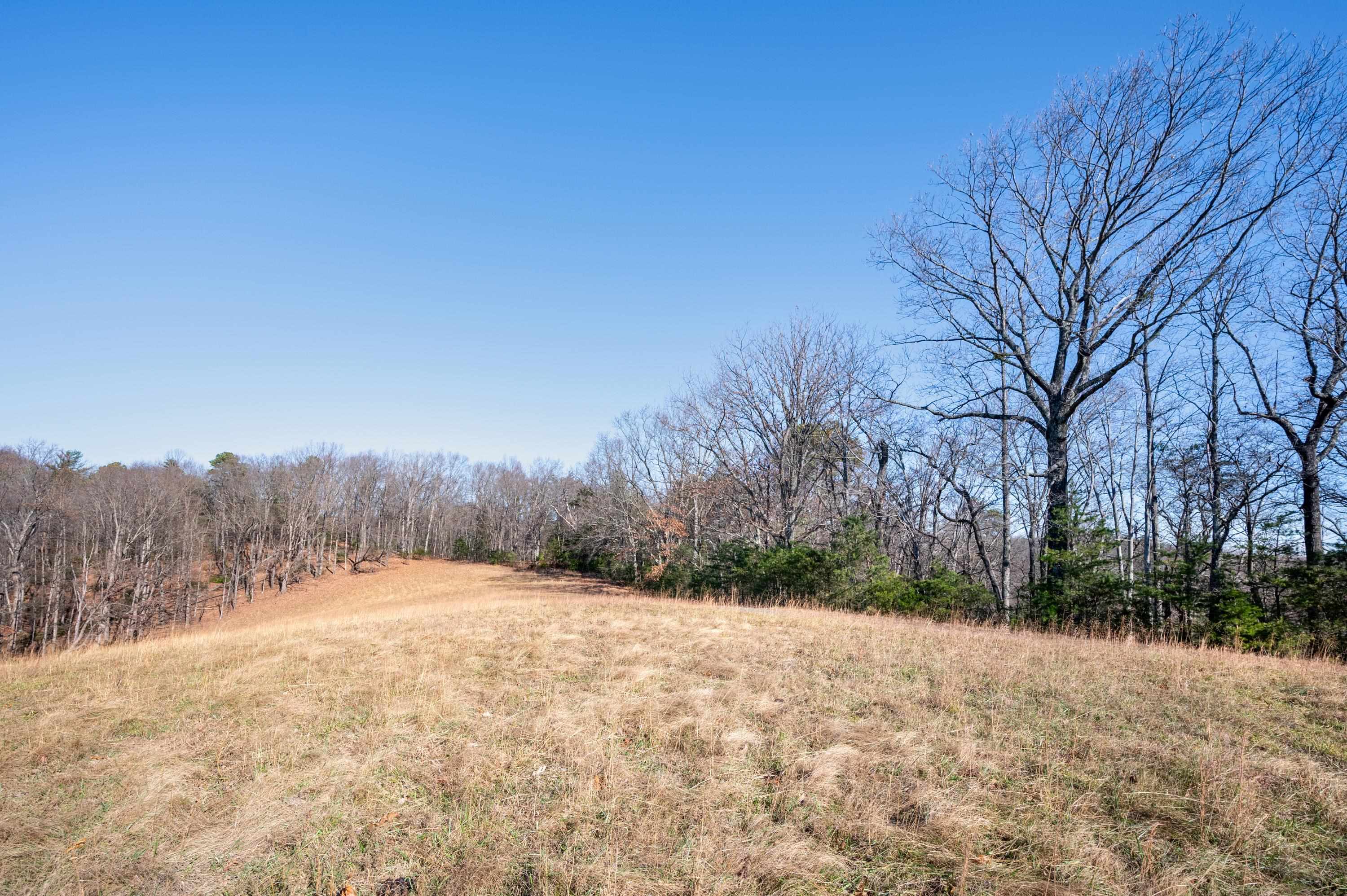 800 Runnett Bag Road Ferrum, VA 24088 - Photo 38 of 76 Gallery Image 38