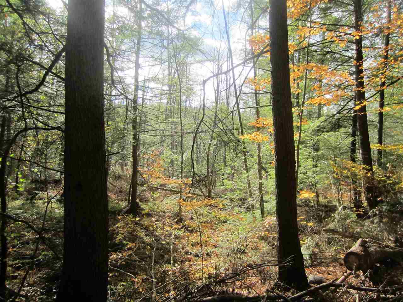 0 East Town Farm Road Putney, VT 05346 - Photo 4 of 10