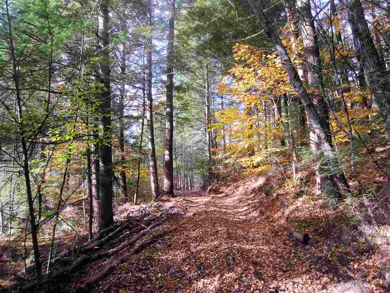 0 East Town Farm Road Putney, VT 05346 - Photo 5 of 10