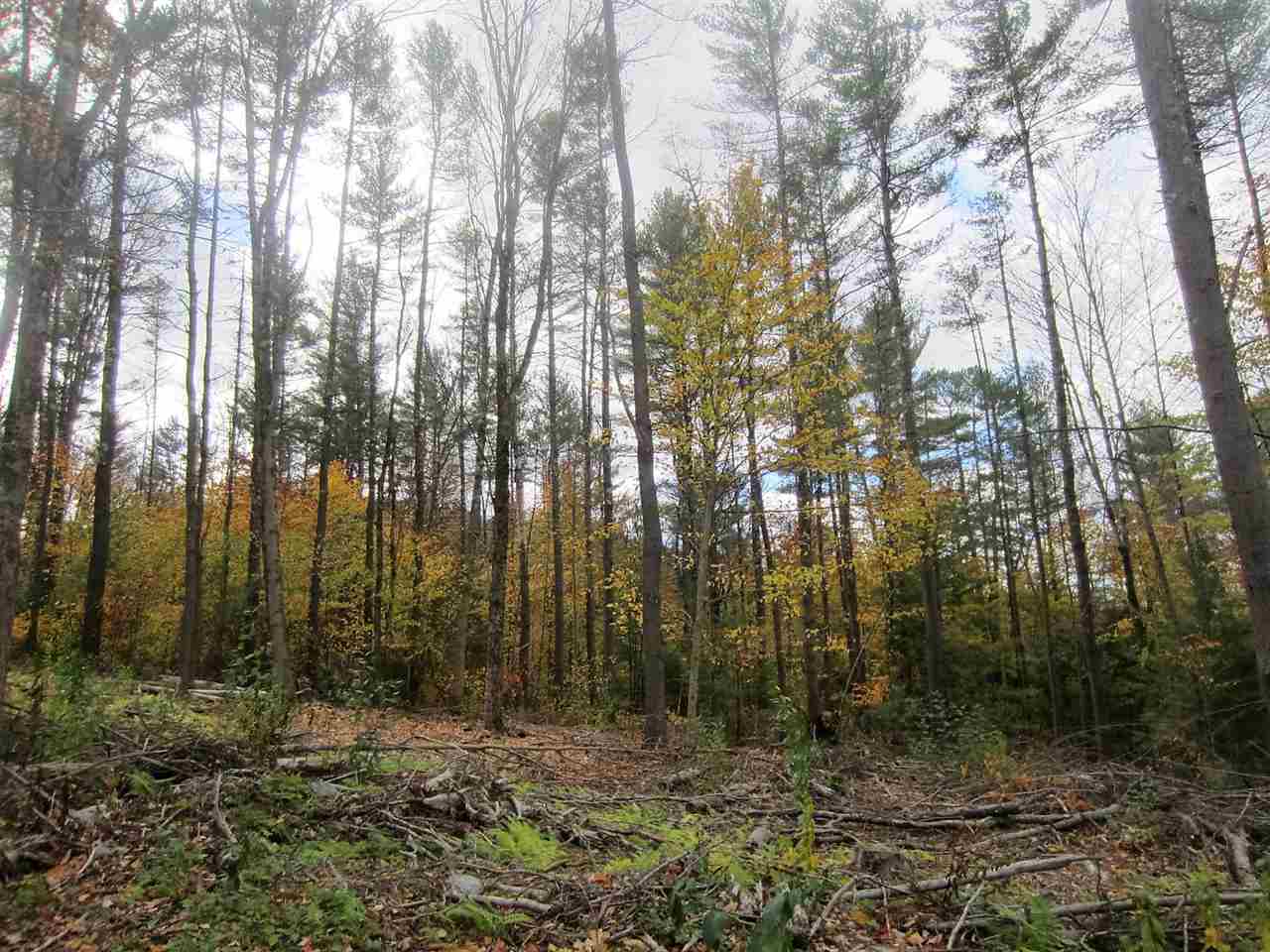 0 East Town Farm Road Putney, VT 05346 - Photo 8 of 10