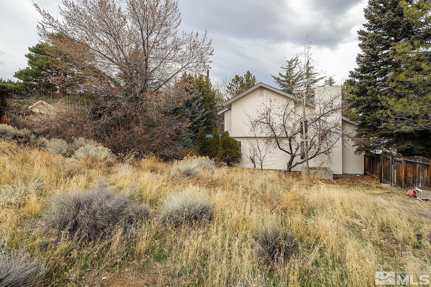 3368 Meridian Court Reno, NV 89509 - Photo 38 of 39 Photo 38