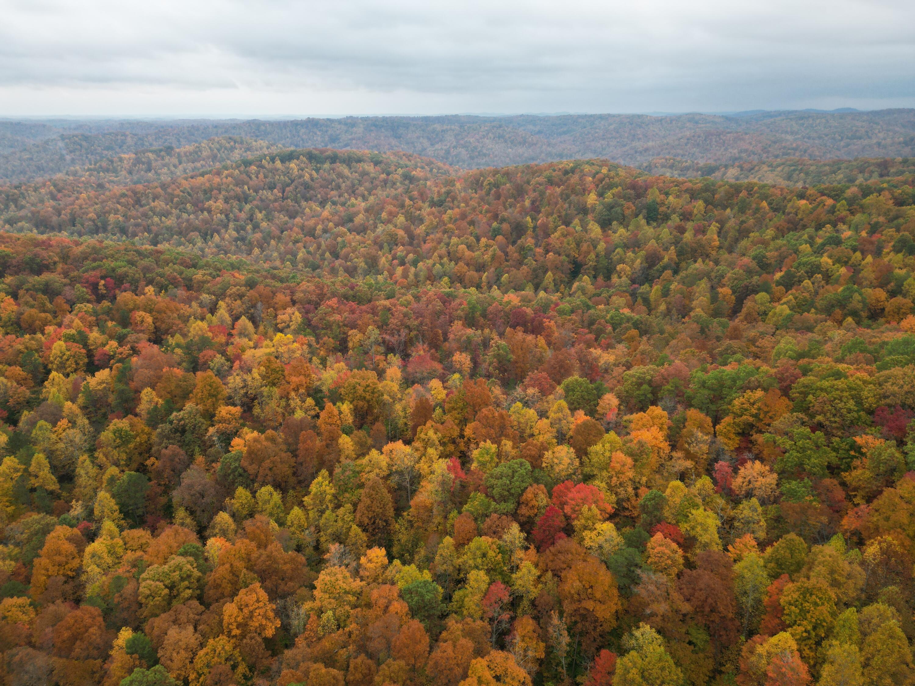 0 Shady Grove Road Mount Vernon, KY 40456 - Photo 22 of 24 dji_fly_20221016_162238_37_1665952595391