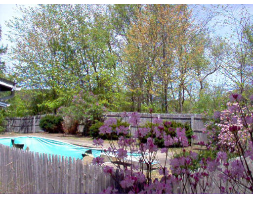 121 Palmer Road Monson, MA 01057 - Photo 5 of 10 a view of street with lots of trees