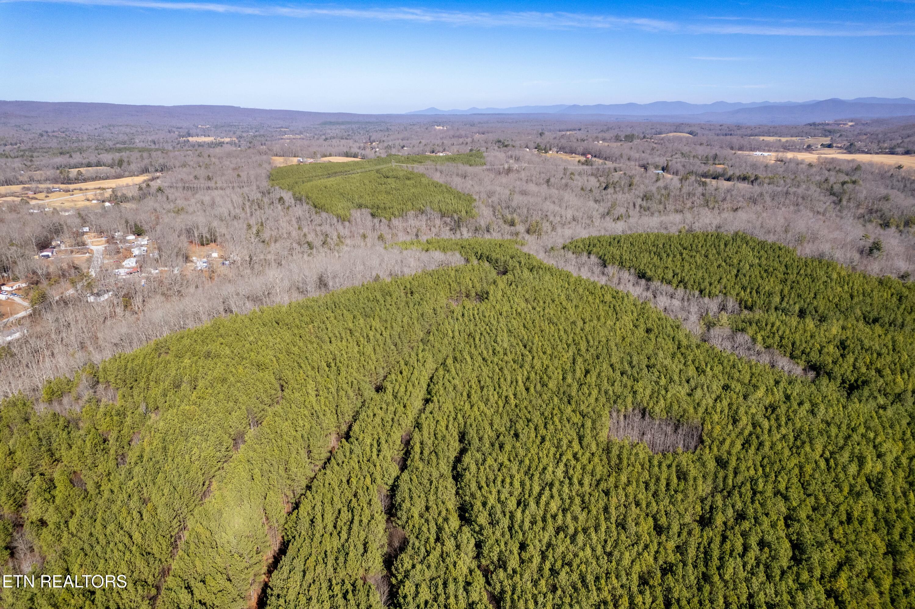 Airport Road Rockwood, TN 37854 - Photo 8 of 9 tempImageI396xt